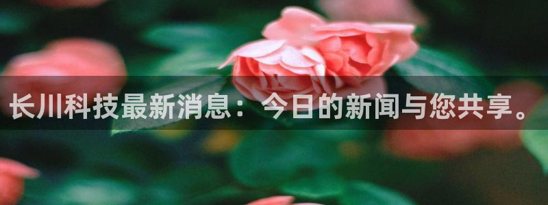 长川科技最新消息：今日的新闻与您共享。