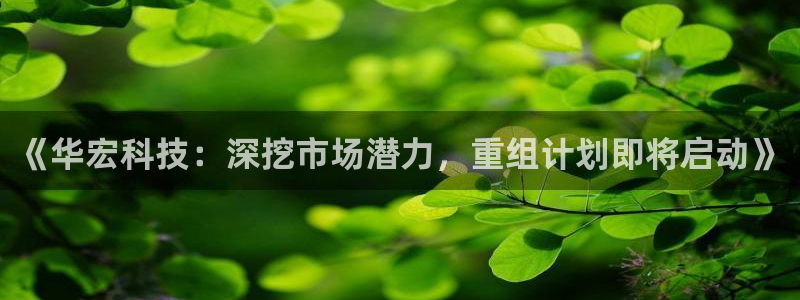 《华宏科技：深挖市场潜力，重组计划即将启动》