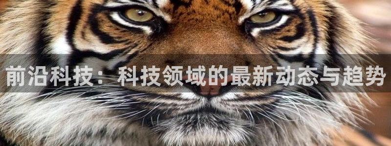 前沿科技：科技领域的最新动态与趋势