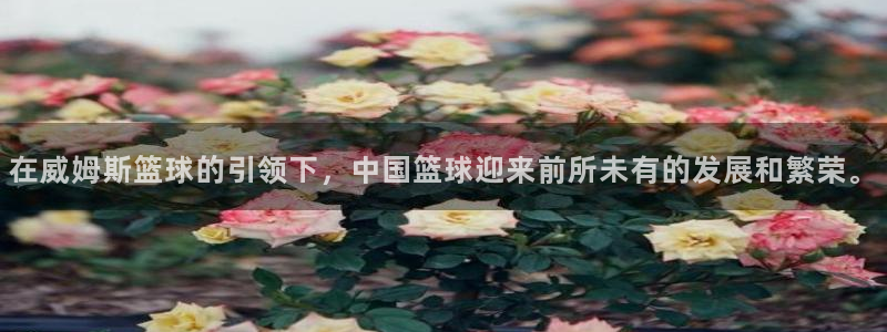 在威姆斯篮球的引领下，中国篮球迎来前所未有的发展和繁荣。