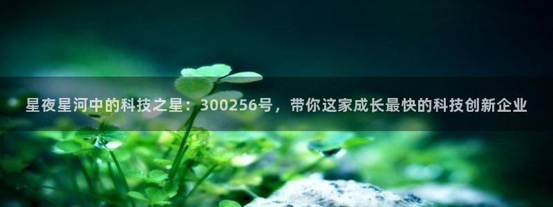 星夜星河中的科技之星：300256号，带你这家成长最快的科技创新企业