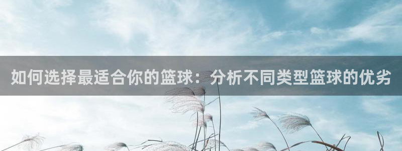 如何选择最适合你的篮球：分析不同类型篮球的优劣