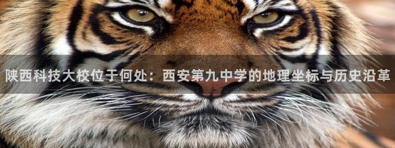 陕西科技大校位于何处：西安第九中学的地理坐标与历史沿革