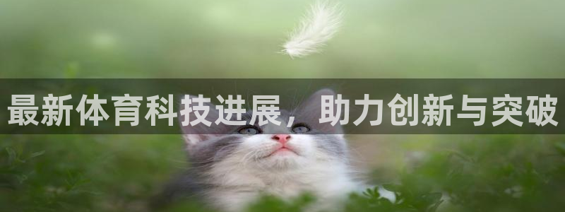最新体育科技进展，助力创新与突破