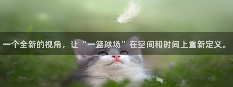 一个全新的视角，让“一篮球场”在空间和时间上重新定义。