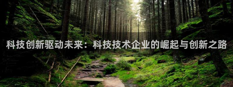科技创新驱动未来：科技技术企业的崛起与创新之路