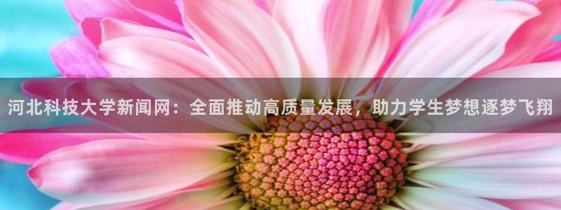 河北科技大学新闻网：全面推动高质量发展，助力学生梦想逐梦飞翔