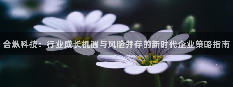 合纵科技：行业成长机遇与风险并存的新时代企业策略指南