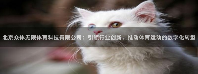北京众体无限体育科技有限公司：引领行业创新，推动体育运动的数字化转型