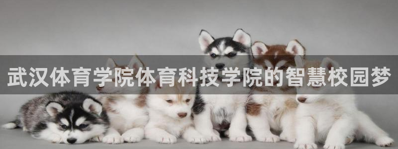 武汉体育学院体育科技学院的智慧校园梦