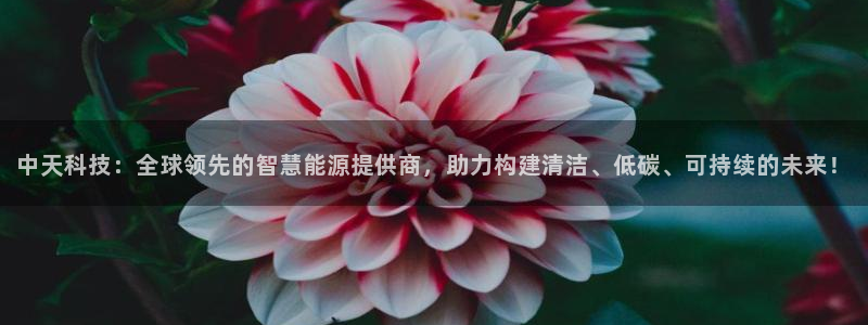 中天科技：全球领先的智慧能源提供商，助力构建清洁、低碳、可持续的未来！