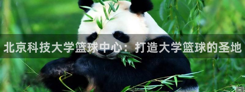 北京科技大学篮球中心：打造大学篮球的圣地