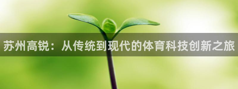 苏州高锐：从传统到现代的体育科技创新之旅
