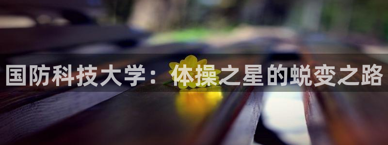 国防科技大学：体操之星的蜕变之路