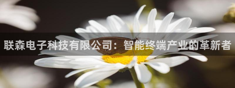 联森电子科技有限公司：智能终端产业的革新者