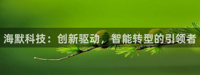 海默科技：创新驱动，智能转型的引领者